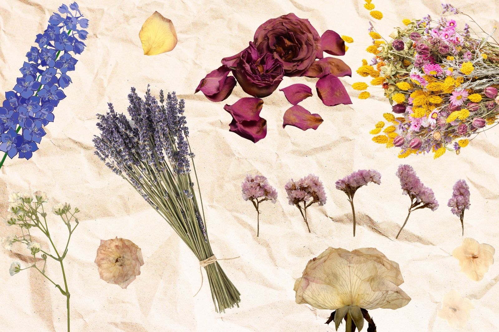 dried flowers